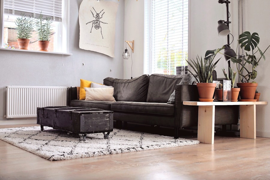 Affordable end of lease cleaning wyndham