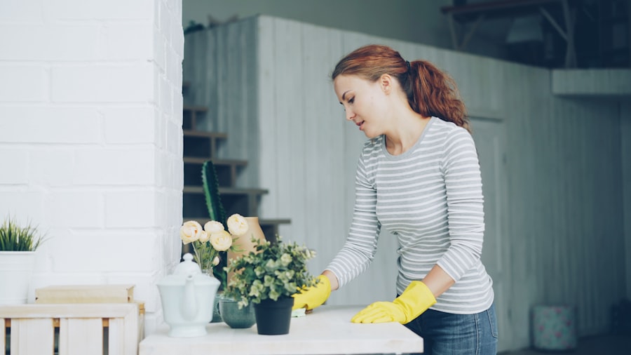 professional cleaning 
