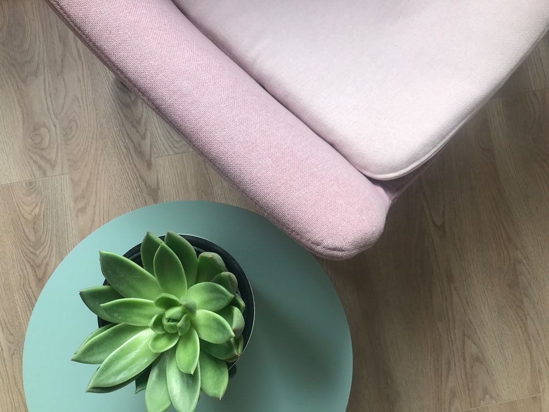 Photo upholstery cleaning