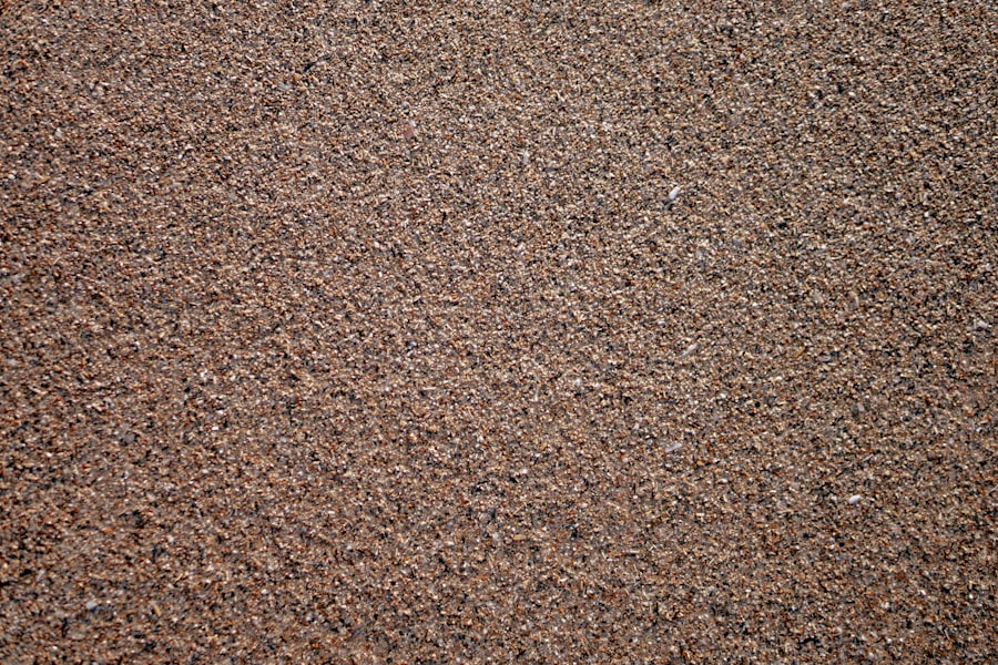 Carpet Cleaning Cost