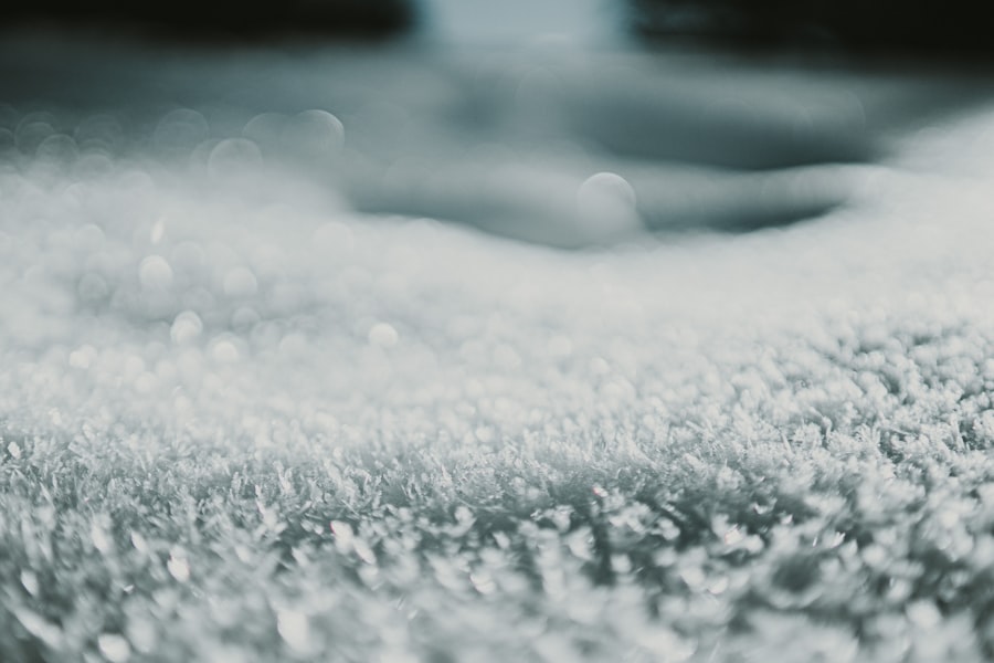 Carpet Cleaning Fee