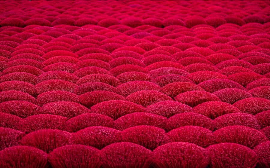 Carpet Cleaning Service