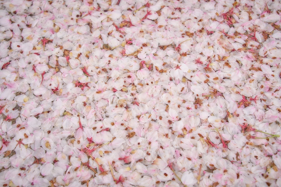 Squeaky Clean Carpets