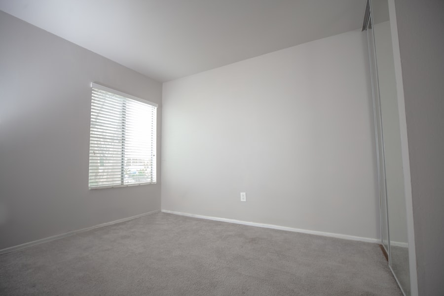 Carpet Cleaning Standards