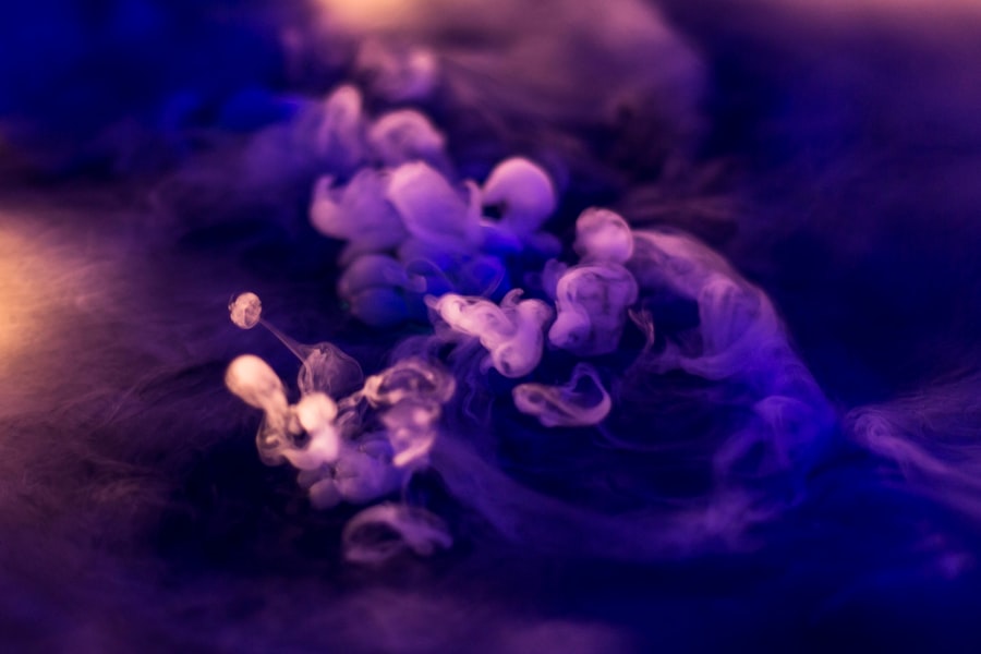 Photo Mold Remediation Melbourne