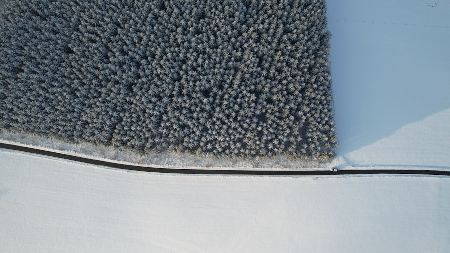 Photo carpet steam cleaning
