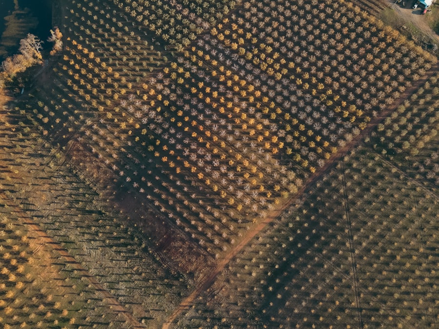 Photo scotchgard fabric protection
