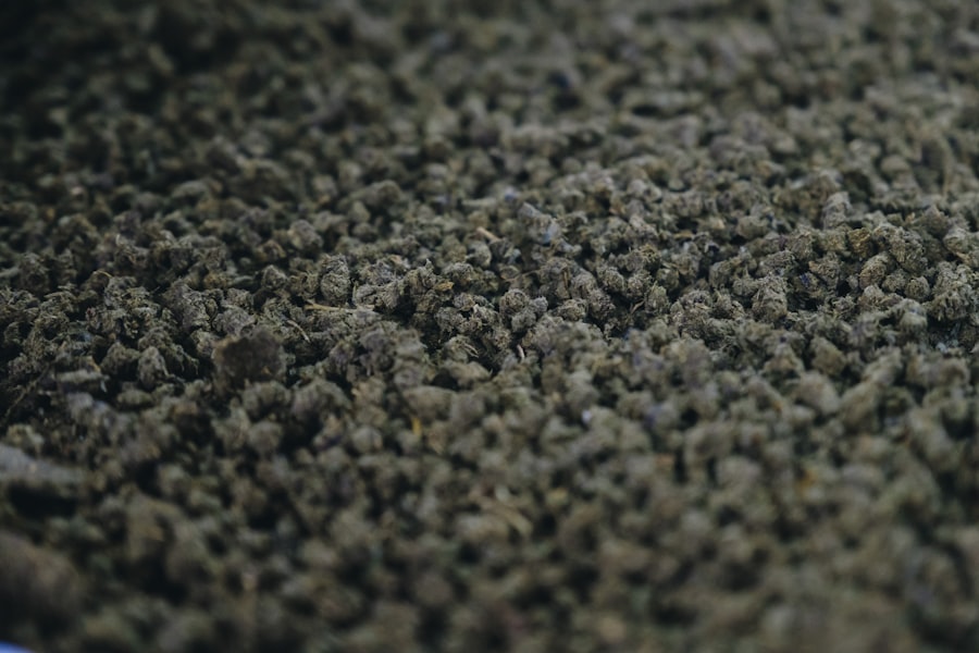 Photo Carpet Cleaning Services Melbourne
