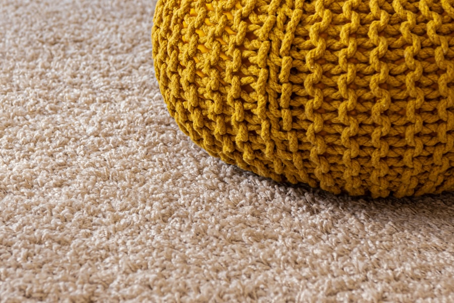 Photo Carpet Cleaning Options