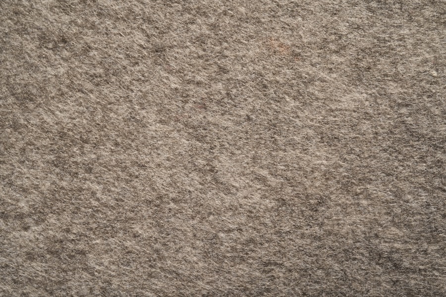Photo carpet cleaning